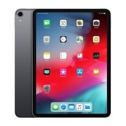 Apple iPad Pro 27,94 cm - 11" met Wi-Fi 256 GB - Receptie - Apple